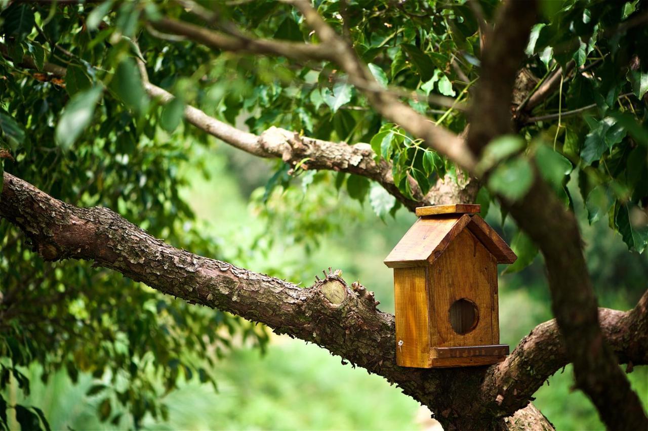 Shangrila Leisure Farm دونغشان المظهر الخارجي الصورة